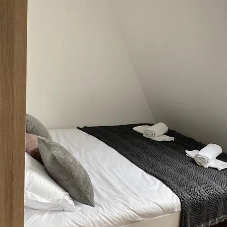 Apartment Borovi 15 *