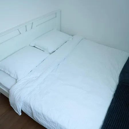 Borovi 15 * Divcibare